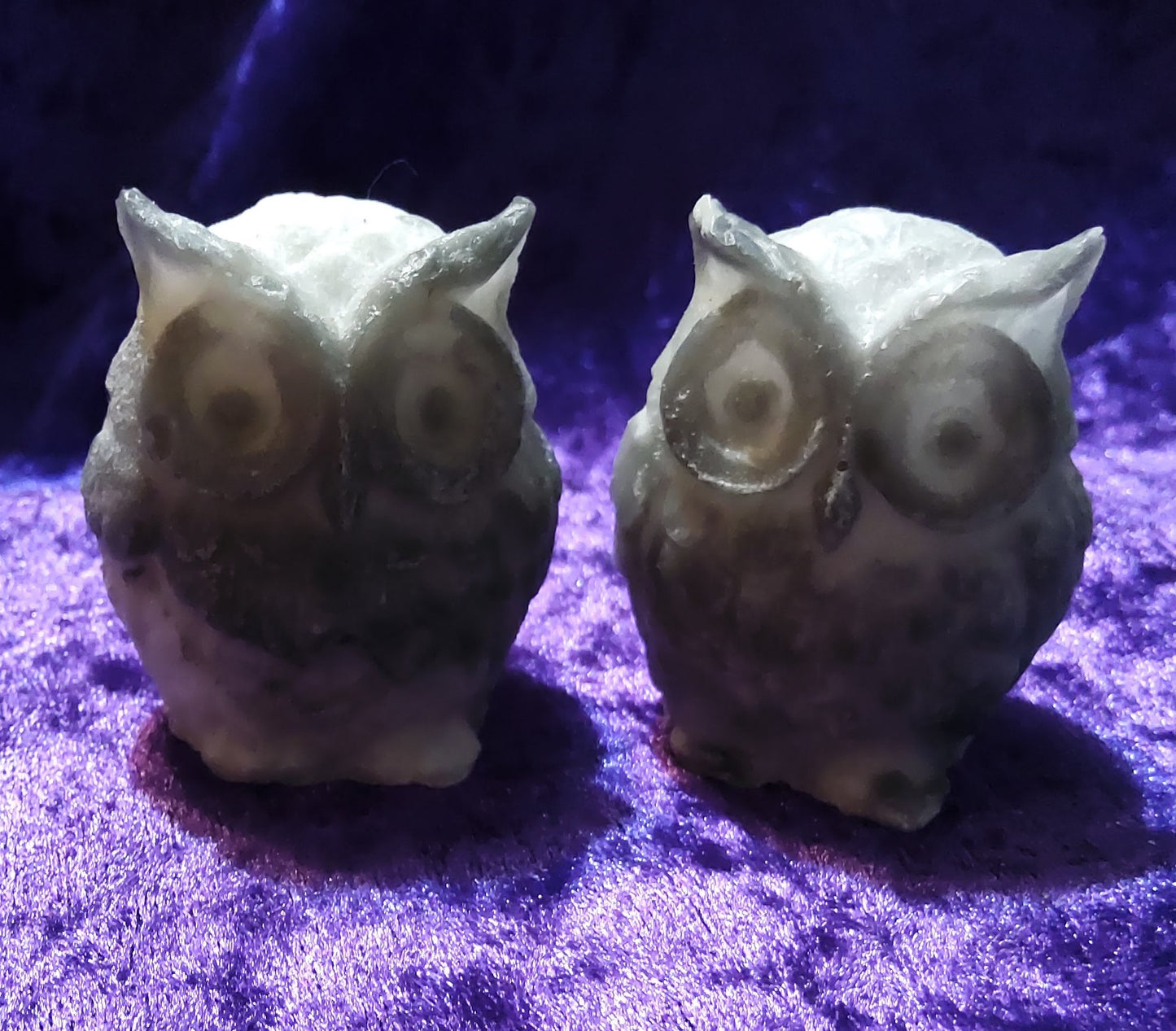 3 little Owls